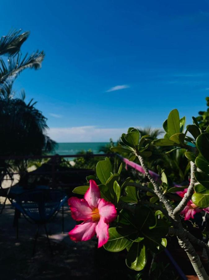 Hotel Gutierrez Celestun Dış mekan fotoğraf