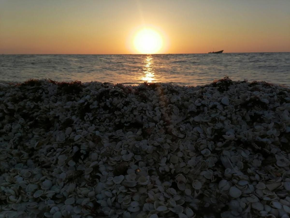Hotel Gutierrez Celestun Dış mekan fotoğraf